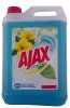 Ajax Lagoon Flowers(5l) EAN:8714789905211