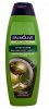 Palmolive Anti-Dandruff - Szampon Przeciwłupieżowy (350ml) EAN:8714789880495